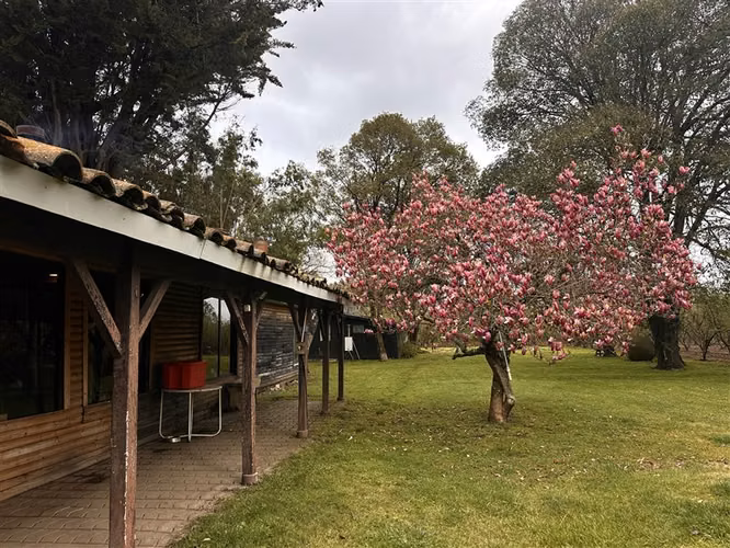 Parcela Productiva Agroindustrial en Venta cerca de Chillan. - Imagen 5