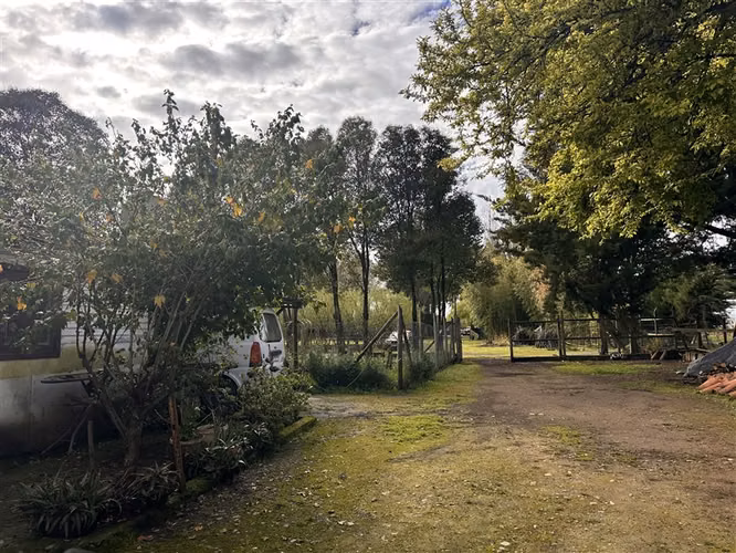 Parcela Productiva Agroindustrial en Venta cerca de Chillan. - Imagen 21