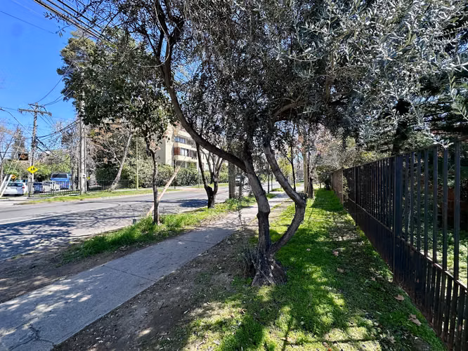 CASA PARA REMODELAR AMPLIO TERRENO  (182739) - Imagen 10