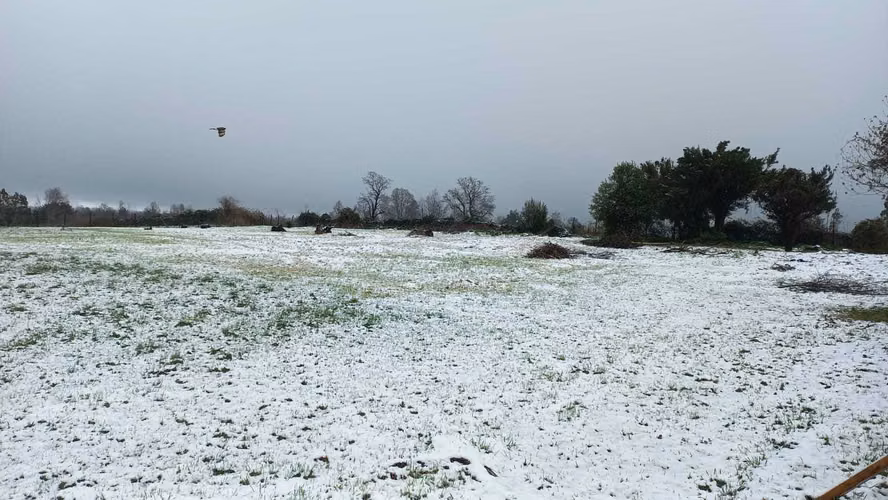 Terreno a orilla de camino! (182789) - Imagen 16