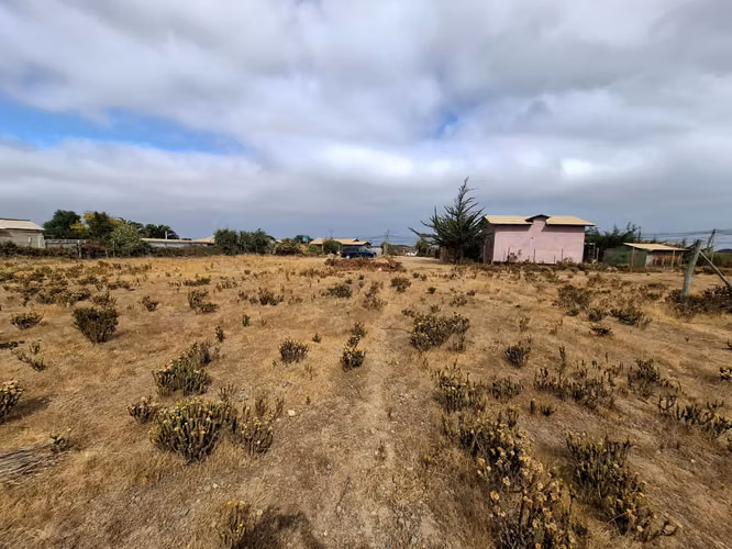 Terreno a pasos de Ruta 5 Pichidangui Sur. Quilimarí. Los Vilos - Imagen 18