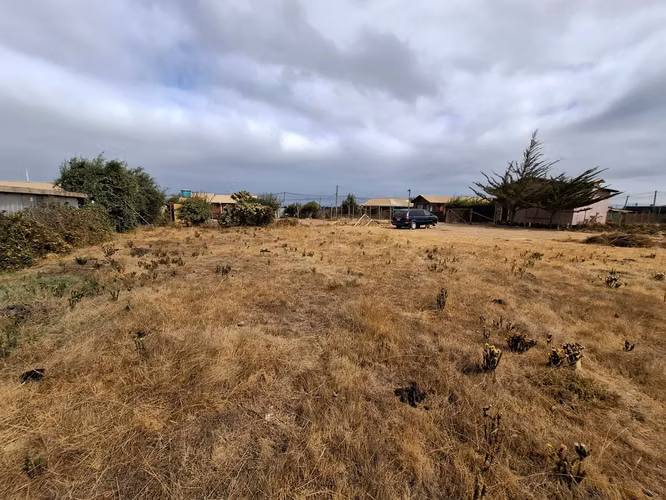 Terreno a pasos de Ruta 5 Pichidangui Sur. Quilimarí. Los Vilos - Imagen 13