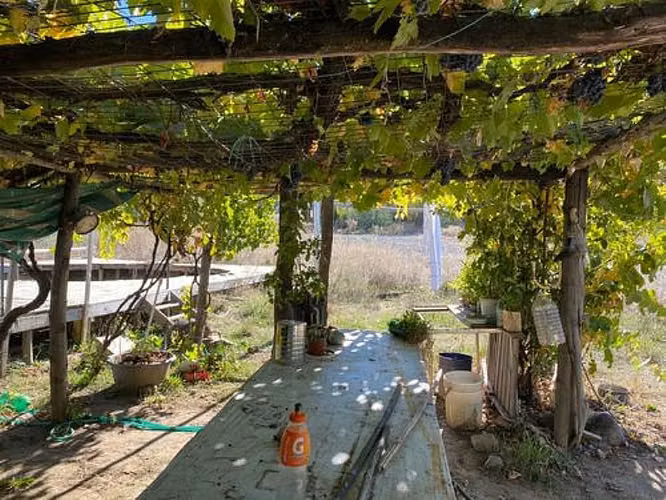 PARCELA  11000M2 CON CASA,  YUMBEL - Imagen 15