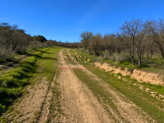 Vass Vende Terreno En Condominio Oasis De La Campana