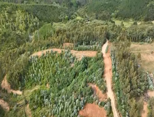 Cercano sólo a 15 minutos del Centro de la comuna, Súper conectado. - Imagen 5