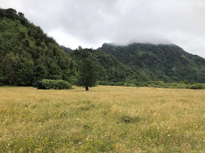 Valle Riñinahue, un paraíso para disfrutar la vida en familia