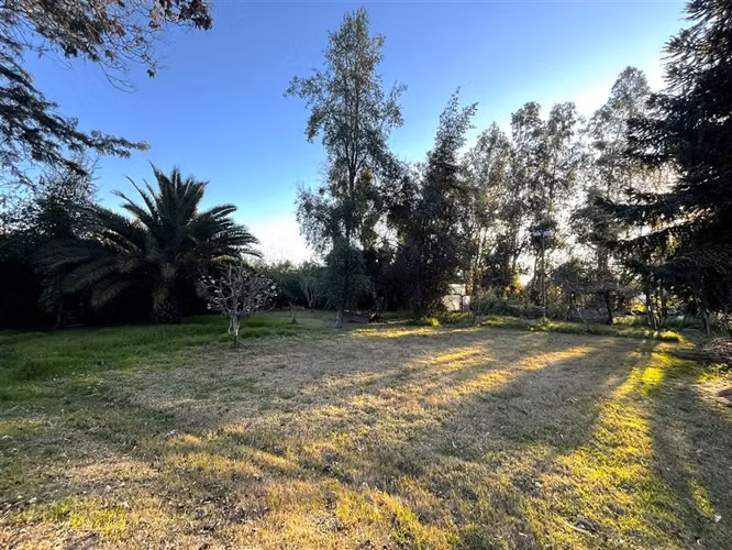 Parcela en venta en Talagante, a 300mts de Ruta 78 - Imagen 22
