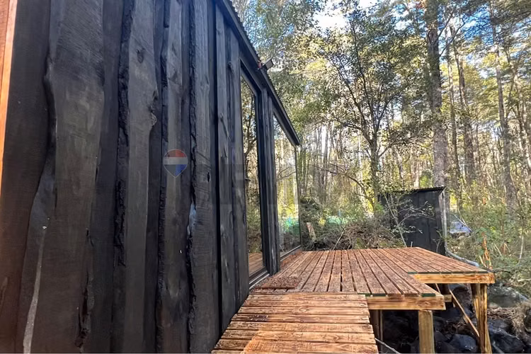3 hermosas cabañas en medio de bosque nativo - Imagen 11