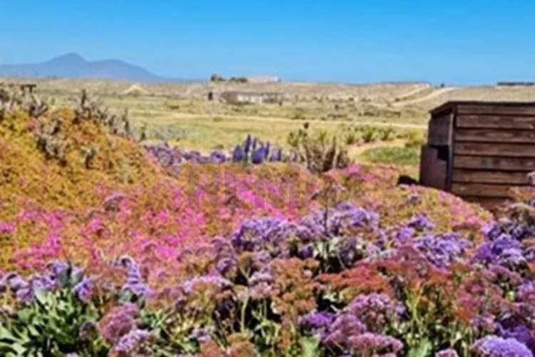Casa en morrillos norte - Imagen 8