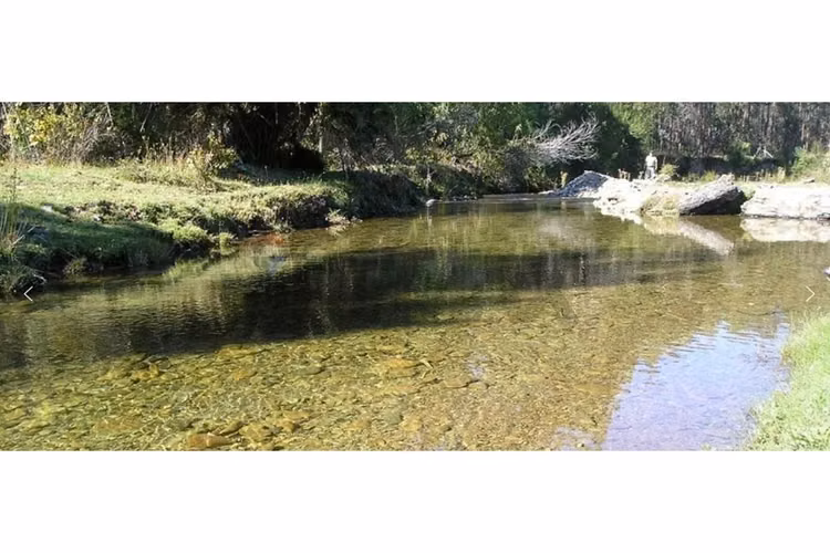 "discover your dream plot in scenic purranque" - Imagen 17