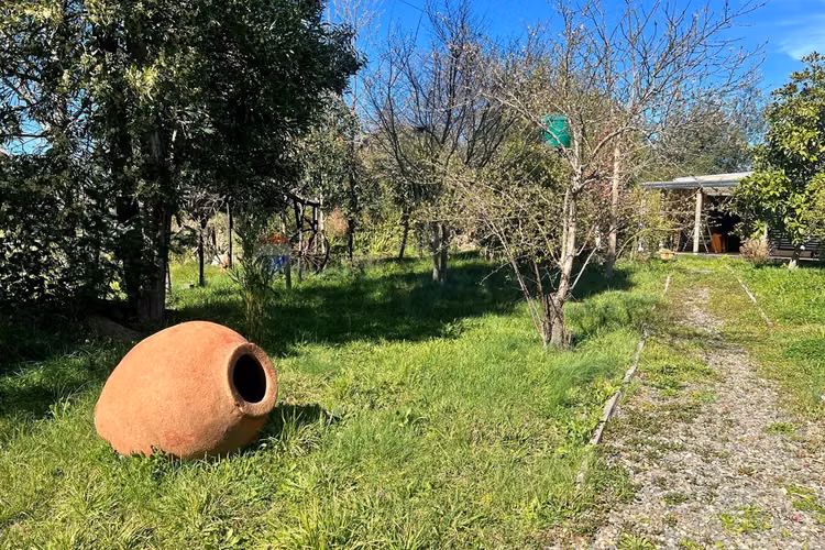 Casa de campo en mulchén: tranquilidad y encanto - Imagen 35