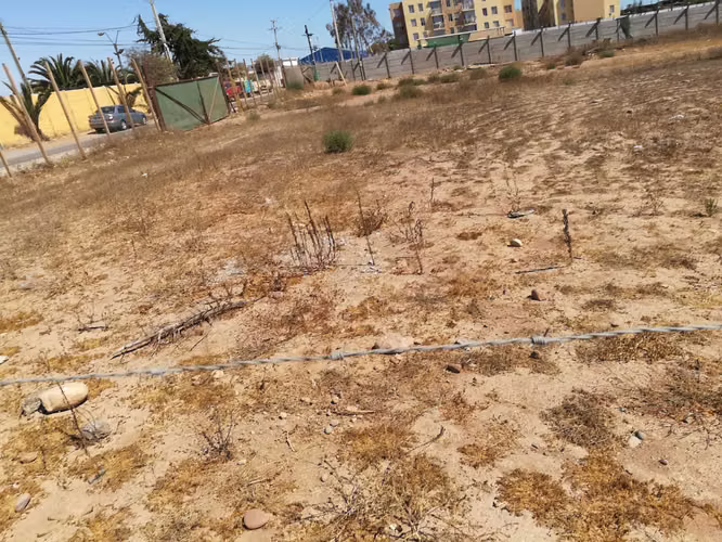 Oportunidad de Inversión en Terreno Céntrico (182933)
