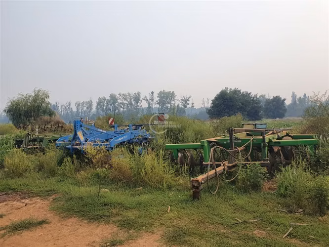 Agrícola en arriendo en Pelarco