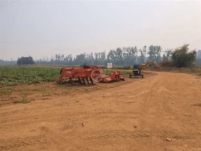 Agrícola en arriendo en Pelarco