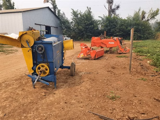 Agrícola en arriendo en Pelarco