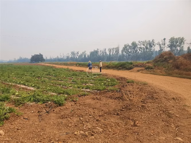 Agrícola en arriendo en Pelarco