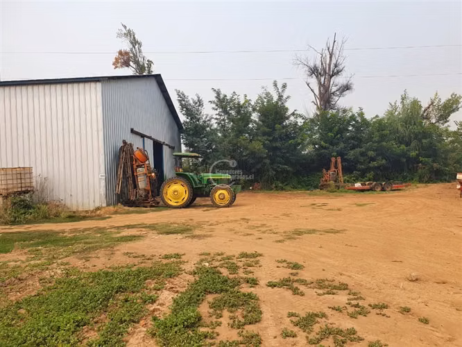 Agrícola en arriendo en Pelarco