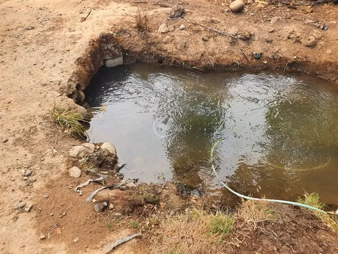 Agrícola en arriendo en Pelarco