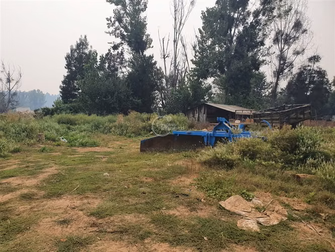 Agrícola en arriendo en Pelarco