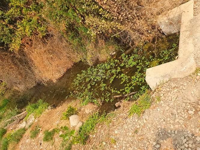 Agrícola en arriendo en Pelarco