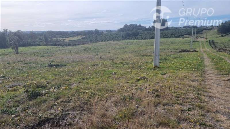 Parcelas en venta en Curaco de Vélez