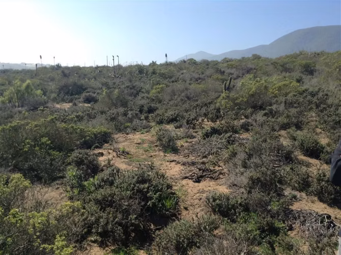 OFERTA TIEMPO LIMITADO TERRENO EN QUEBRADA LA PALETA - Imagen 3