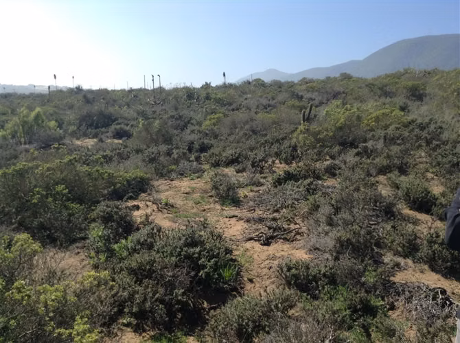 OFERTA TIEMPO LIMITADO TERRENO EN QUEBRADA LA PALETA - Imagen 10