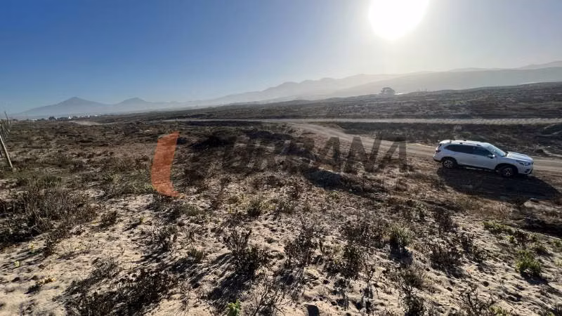 Sitio SITIOS DE 5.000M2 PARA INVERSIÓN SECTOR SERENA GOLF - Imagen 5