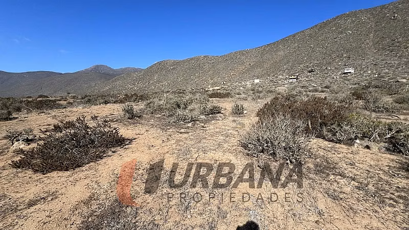 Sitio TERRENOS 5.000M2 EN ARRAYAN COSTERO LA SERENA - Imagen 16