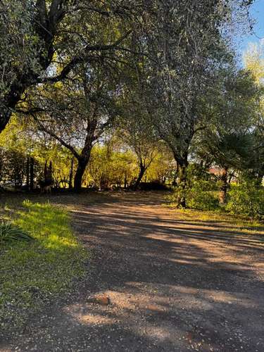 Propiedad Urbana de 5830 m2 en Yumbel Estación  (183007)