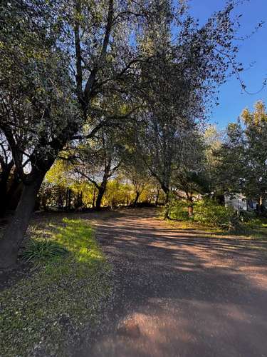 Propiedad Urbana de 5830 m2 en Yumbel Estación  (183007)