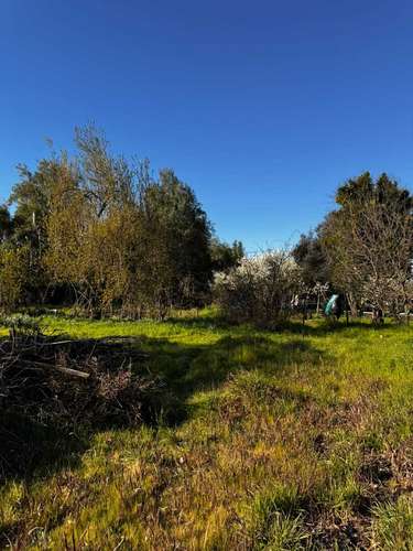 Propiedad Urbana de 5830 m2 en Yumbel Estación  (183007)