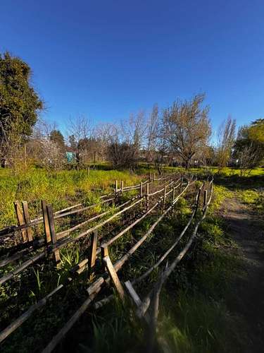 Propiedad Urbana de 5830 m2 en Yumbel Estación  (183007)