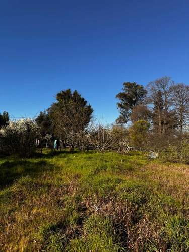 Propiedad Urbana de 5830 m2 en Yumbel Estación  (183007)