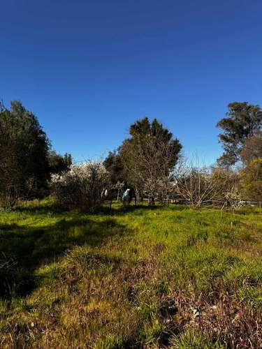 Propiedad Urbana de 5830 m2 en Yumbel Estación  (183007)