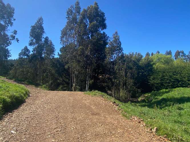 Posibilidad de subdividir en 7 sitios  (183005)
