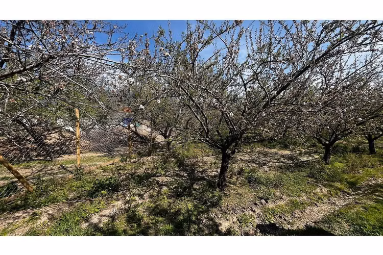 Parcelas san juan de pirque, acceso agua y luz - Imagen 18