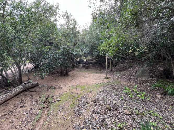 OFERTA PARCELA VALLE LOS NARANJOS CURACAVÍ