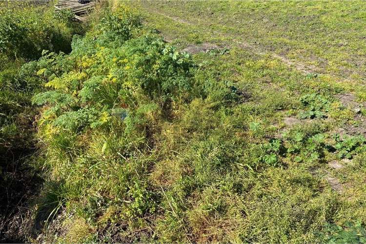 Terreno agrícola en venta san vicente de t.t."