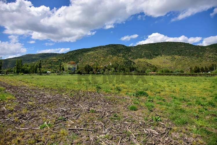 Terreno agrícola en venta san vicente de t.t."