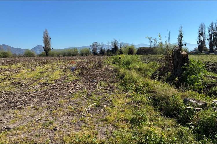 Terreno agrícola en venta san vicente de t.t."