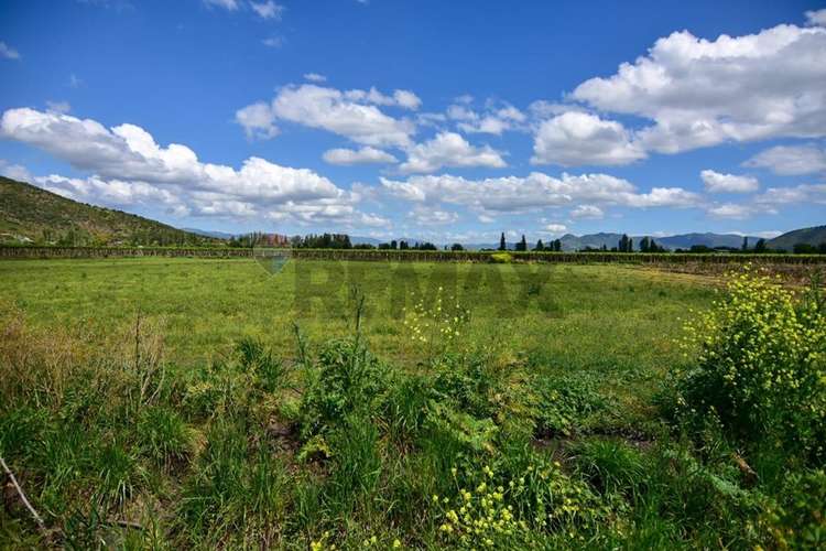 Terreno agrícola en venta san vicente de t.t."