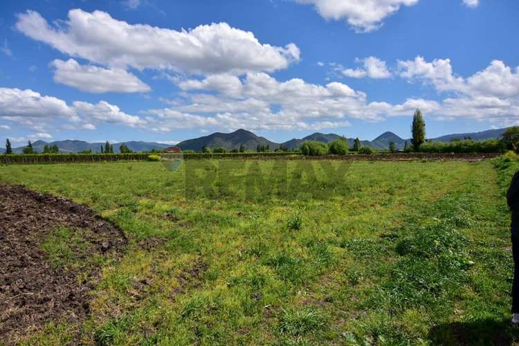 Terreno agrícola en venta san vicente de t.t."