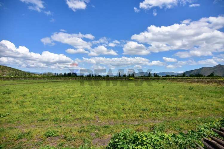 Terreno agrícola en venta san vicente de t.t."