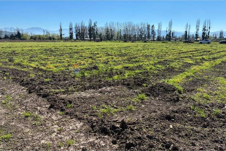 Terreno agrícola en venta san vicente de t.t."