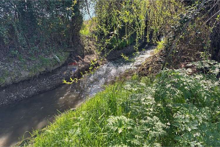 Terreno agrícola en venta san vicente de t.t."