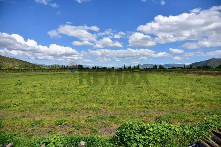 Terreno agrícola en venta san vicente de t.t."
