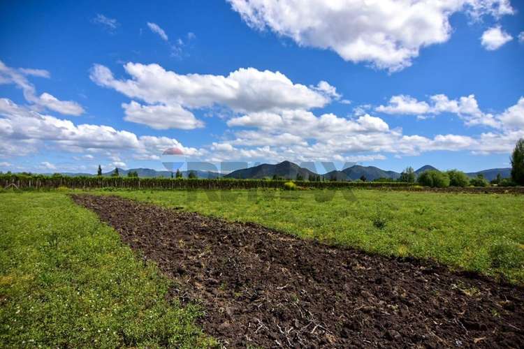 Terreno agrícola en venta san vicente de t.t."
