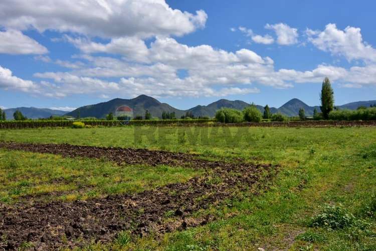 Terreno agrícola en venta san vicente de t.t."