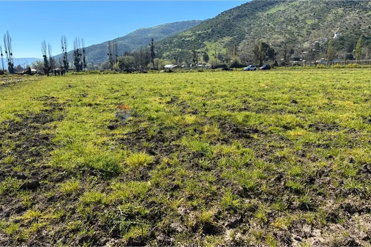 Terreno agrícola en venta san vicente de t.t."